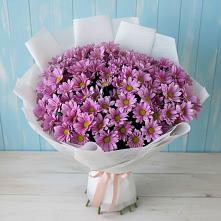 Букет цветов из:  Хризантемы в Алексеевка Алексеевский район