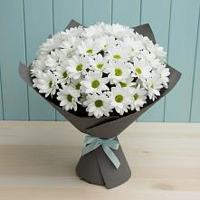 Букет цветов из:  Хризантемы в Алексеевка Алексеевский район